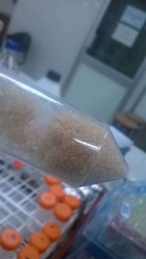 What Is The Best Way To Prepare Smooth Chitosan Beads Researchgate