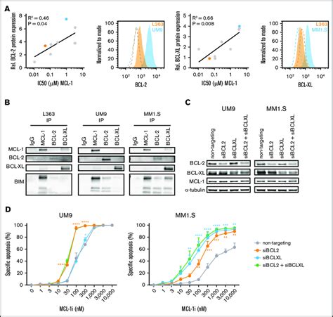 High Bcl 2 Or Bcl Xl Expression Confers Resistance Against Mcl 1i In Download Scientific