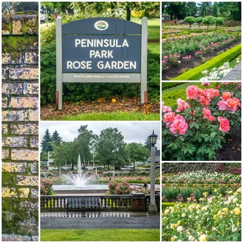 Peninsula Park Rose Garden - SkyBlue Portland