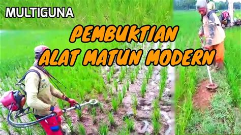 Pembuktian Alat Matun Modern Di Sawah Mesin Matun Modern YouTube