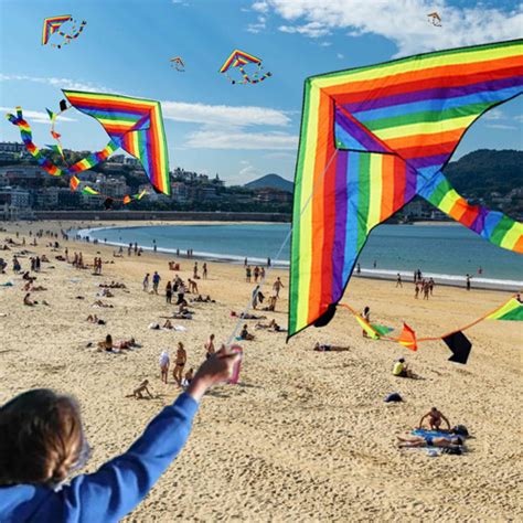 Papalote Cometa Gigante Playa 170 Cm Ancho X 242 Cm Largo Meses Sin