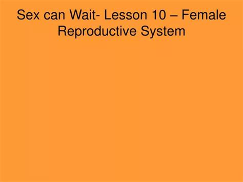 Ppt Sex Can Wait Lesson 10 Female Reproductive System Powerpoint Presentation Id5626560