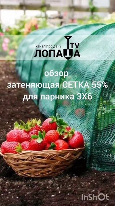 ОБЗОР СЕТКА ДЛЯ ТЕПЛИЦЫ см длинные вмдео #парник #теплица # ...