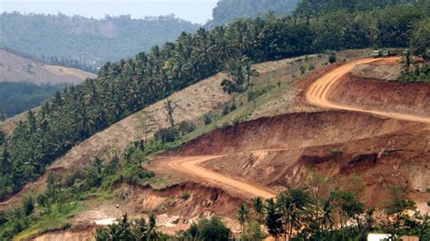 Foto Ptpn Relakan Kilometer Lahannya Untuk Jalur Tol Sumatera