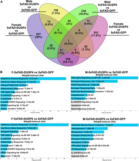 Frontiers Dual Specificity Protein Phosphatase 6 DUSP6