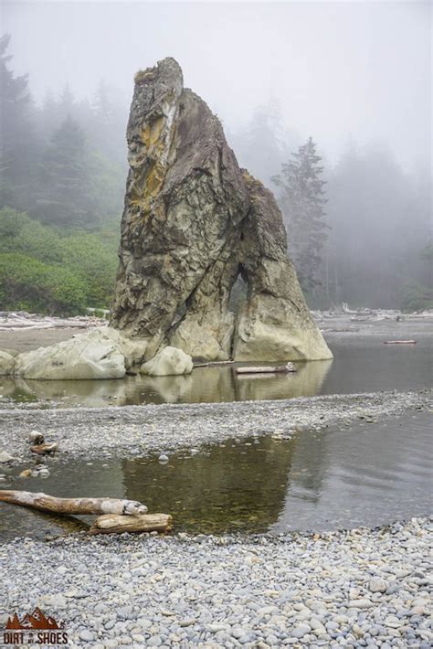 The Best Time To Visit Olympic National Park Dirt In My Shoes