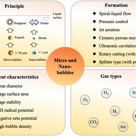 Progress In Micronano‐bubble Technology For Food Application A