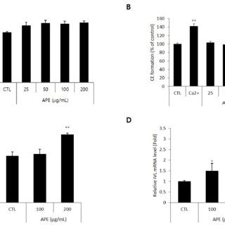 Effects Of APE On HaCaT Cell Viability And Differentiation Markers A