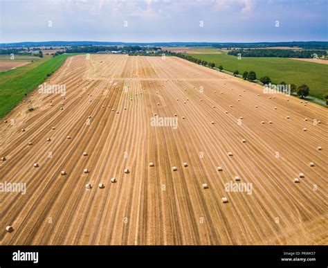 Aerial View Of Round Hay Bales On Stubble Under Blue Cloudy Sky With A