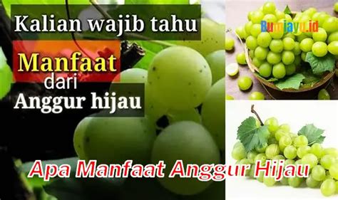 Manfaat Anggur Hijau 8 Rahasia Yang Jarang Diketahui