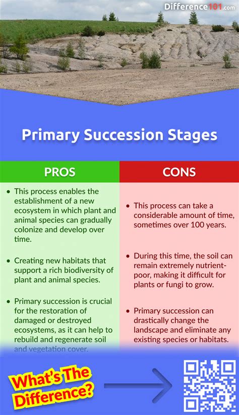 Primary Succession vs. Secondary Succession Stages: 6 Key Differences ...