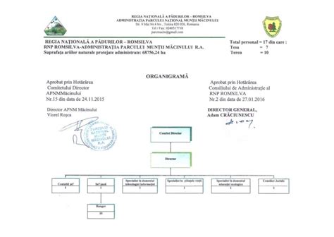 Organigrama Apnmm Parcul Na Ional Mun Ii M Cinului