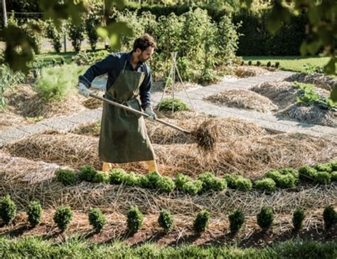 Comment réaliser un jardin écologique