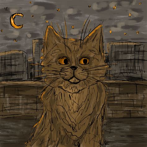 midnight cat  vineasin  deviantart