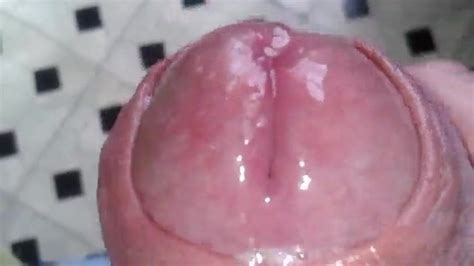 Close Up Cock Head Xhamster