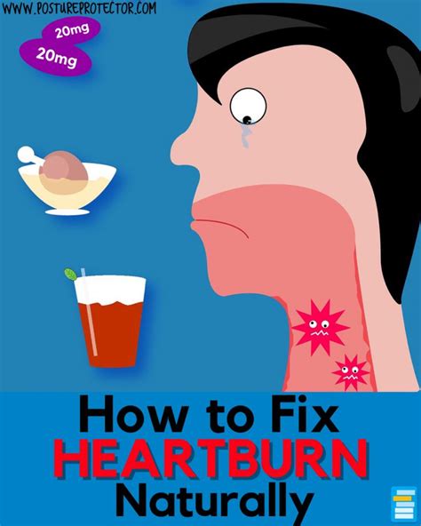 How To Fix Heartburn Naturally Heartburn Health And Wellness Fix It