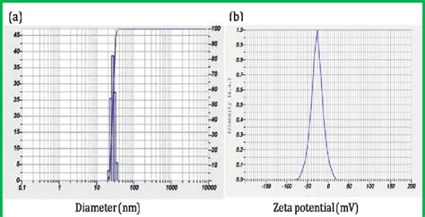 A Particle Size Distribution And B Zeta Potential Measurement Of