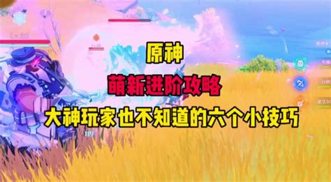 原神能大大提升游戏体验的六个实用小技巧 原神攻略 小米游戏中心