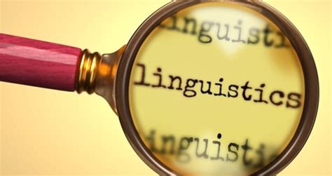 Trois tâches pour guider systématiquement le processus linguistique