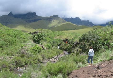 Champagne Valley Hiking Trails