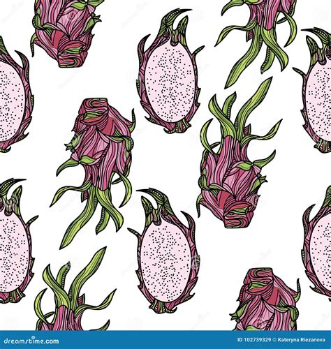 Seamless Pattern With Dragonfruit Or Pitahaya Stock Vector