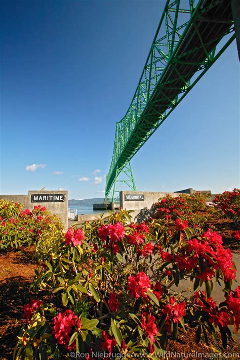 Astoria Bridge | Photos by Ron Niebrugge