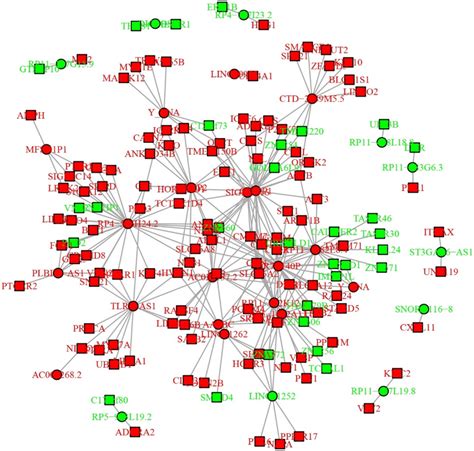 Regulatory Network The Interactions Of Top 20 Upregulated LncRNAs And