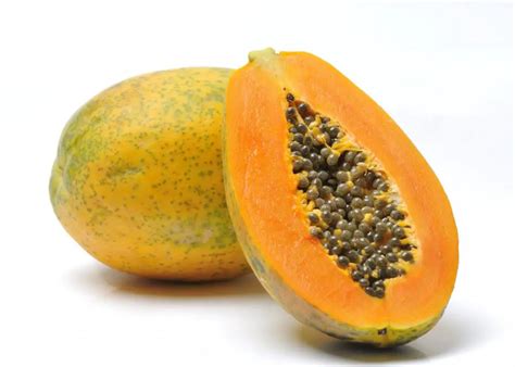 How To Identify Male And Female Papaya Seeds