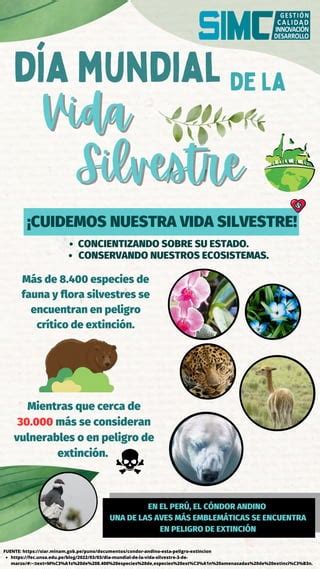 3 De Marzo DÍa Mundial De La Vida Silvestre Pdf