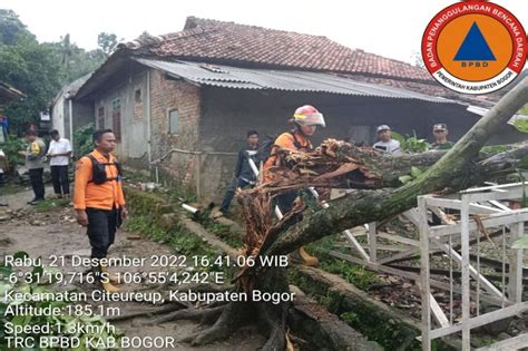 Angin Kencang Terjang Bogor Atap Rumah Warga Rusak Dan Pohon Tumbang