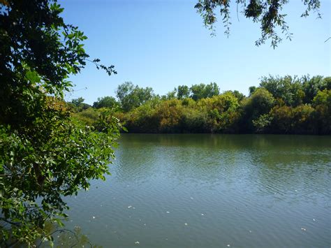 trailing  cosumnes river preserve