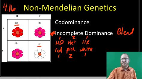 Non Mendelian Inheritance Lesson Plan