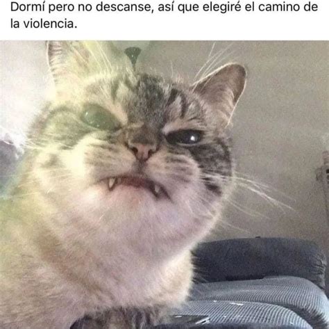 Dormí Pero No Descanse Así Que Elegiré El Camino De La Violencia Memes
