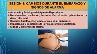 Psicoprofilaxis En El Embarazo Pptx