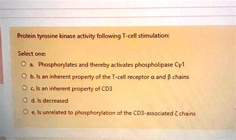 Solved Protein Tyrosine Kinase Activity Following T Cell Stimulation