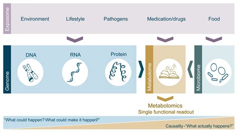 Why metabolomics - biocrates life sciences ag