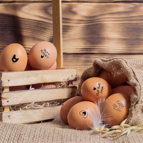 Buy Egg Stamper For Chicken Eggs Egg Stamps For Fresh Eggs Farm Fresh