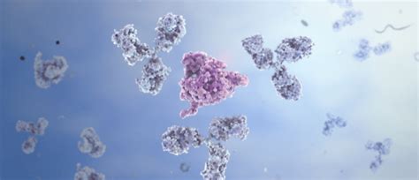 Atlas Antibodies acquires evitria- Bioanalysis Zone