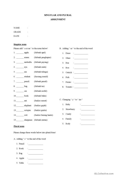 SINGULAR AND PLURAL NOUN general gra Deutsch DAF Arbeitsblätter pdf doc