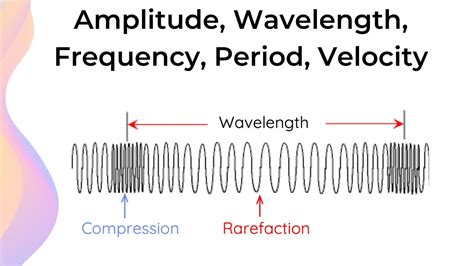 Properties Of Longitudinal Waves Hsc Physics Youtube