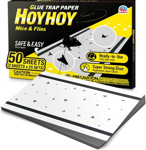 Amazon Hoy Hoy Mice Flies Glue Trap Paper Traps Pack