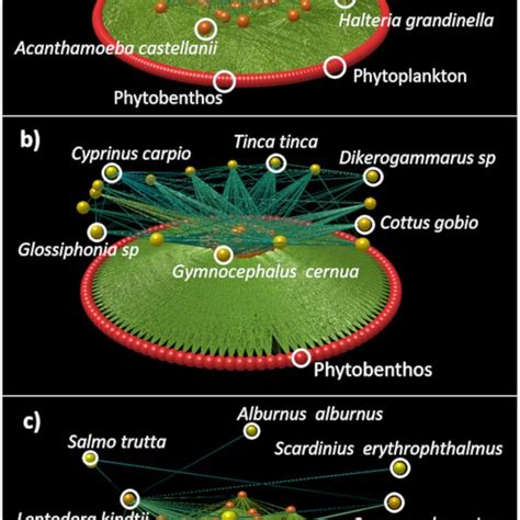 3D‐visualizations of the whole food web of Lake Bourget (a), the ...