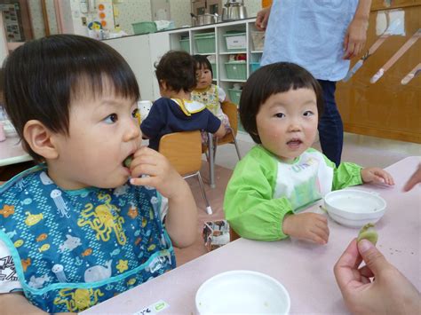 こばとこども園のブログ つくし組 6月