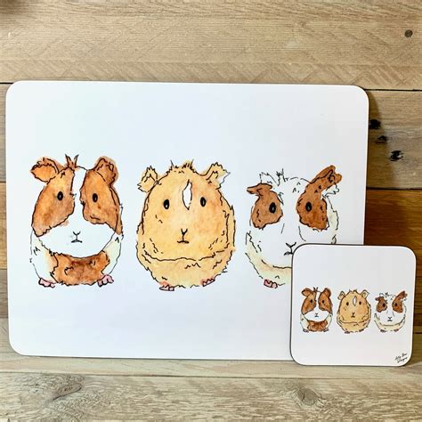 Guinea Pig Coaster And Placemat Set Arty Bee Designs