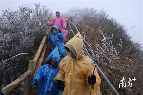 寒潮来袭，粤北赏雪胜地的冷与暖本轮寒潮为啥南方降雪比北方明显寒潮大举南下 多地迎初雪游客