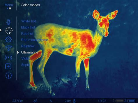 Night Vision Vs Thermal Thermal And Night Vision Devices