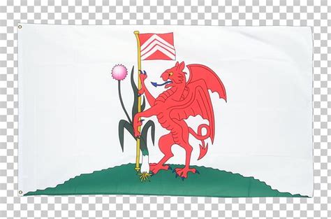 Cardiff Flag Institute Flag Of The United States National Flag PNG ...