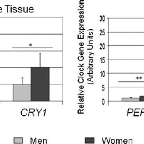 Clock Genes Expression In Subcutaneous And Visceral Fat By Sex Download Scientific Diagram