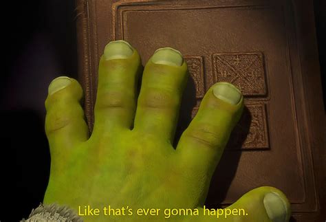 Shreks Like Thats Ever Gonna Happen From 1080p Movie With Color