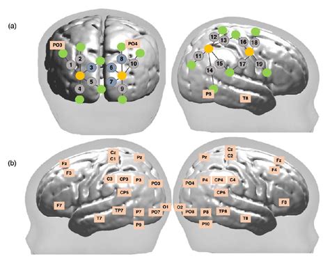 Schematic Representation Of Bnirs And Eeg Channel Locations A